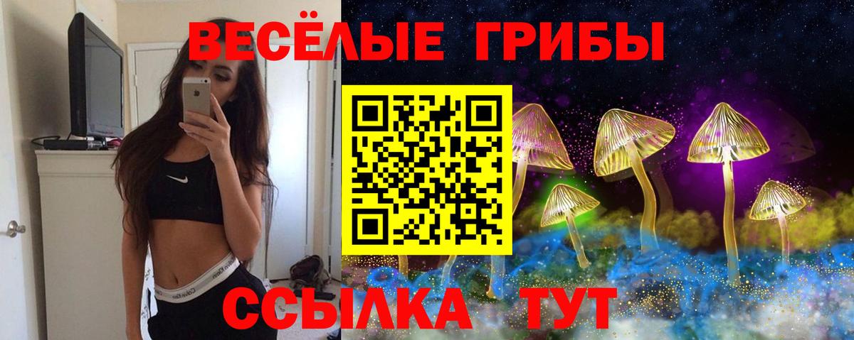 Галлюциногенные грибы Magic Shrooms Чебоксары